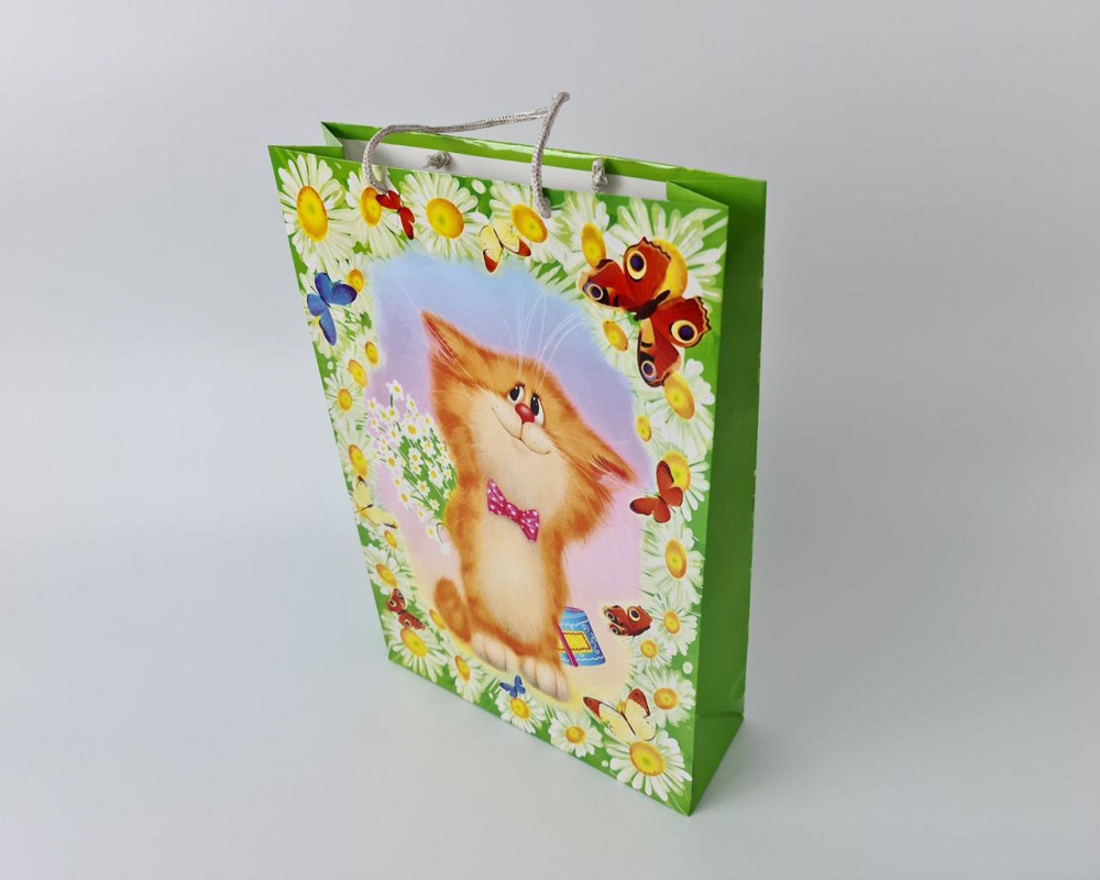 Большой бумажный пакет вертикальный  25/37/8(артBV-041) (12 шт) Харьков - изображение 4