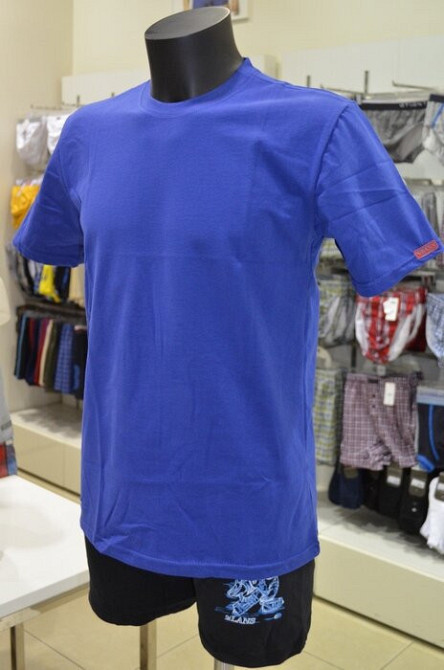 Футболка чоловіча Lans 12/001 3XL, Синій Київ - фото 1