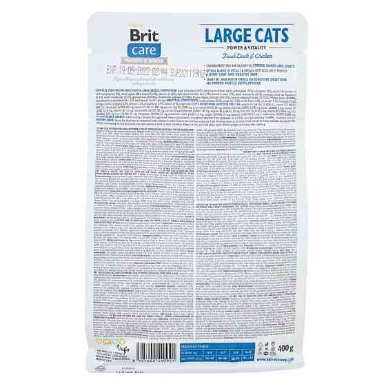 Сухой корм Brit Care Cat GF Large Power & Vitality для кошек больших пород, утка и курица, 400 г Винница