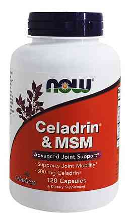 Целадрин и МСМ, Celadrin &amp; MSM, Now Foods, 120 капсул Луцьк