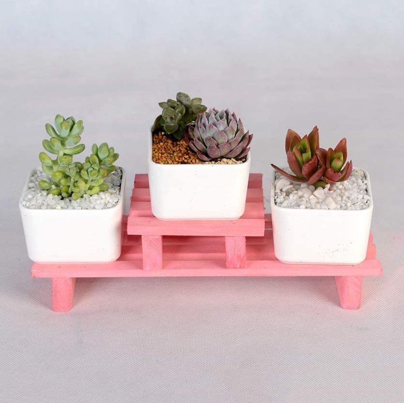 Підставка для квітів "Карера" барбі Миколаїв - фото 1