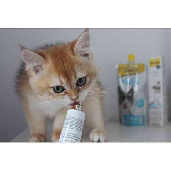 Вітамінізована паста GimCat Expert Line Kitten для кошенят, 50 г Вінниця