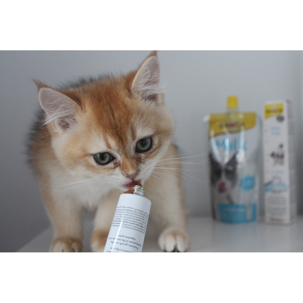 Вітамінізована паста GimCat Expert Line Kitten для кошенят, 50 г Вінниця - фото 4
