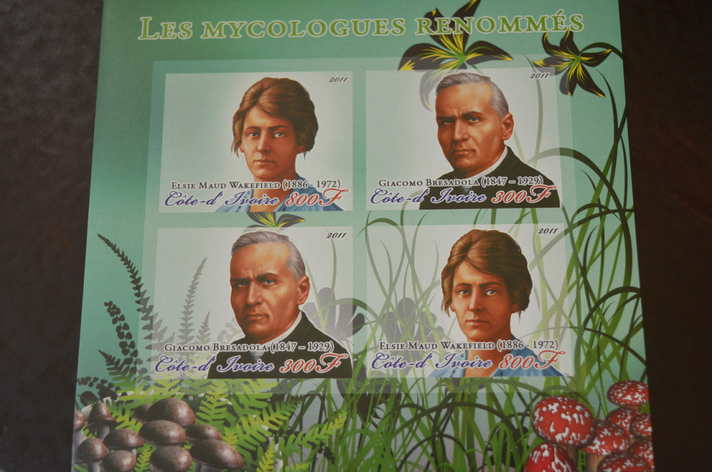 Марки. Особистості. Блок. 2011 рік (А-15) Полтава - фото 1