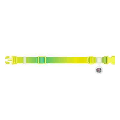 Ошейник для животных WAUDOG Nylon Recycled с QR паспортом, градиент, L салатовый (47025) Винница
