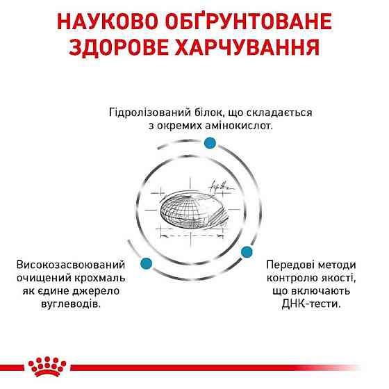 Royal Canin Skin Care (Роял Канін Скін Кер) сухий корм для собак у разі дерматозів і випадання шерсті Запоріжжя