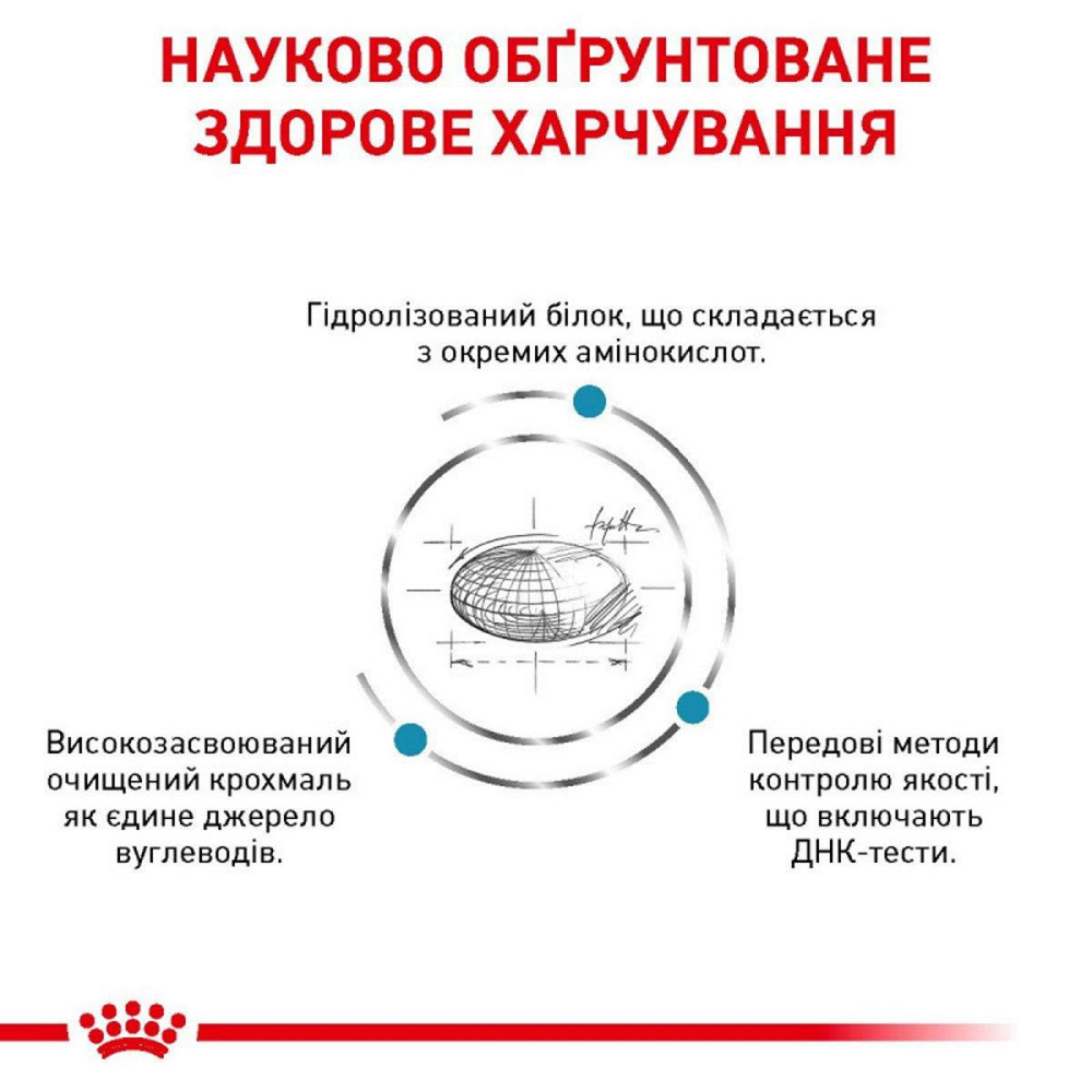 Royal Canin Skin Care (Роял Канін Скін Кер) сухий корм для собак у разі дерматозів і випадання шерсті Запоріжжя - фото 3