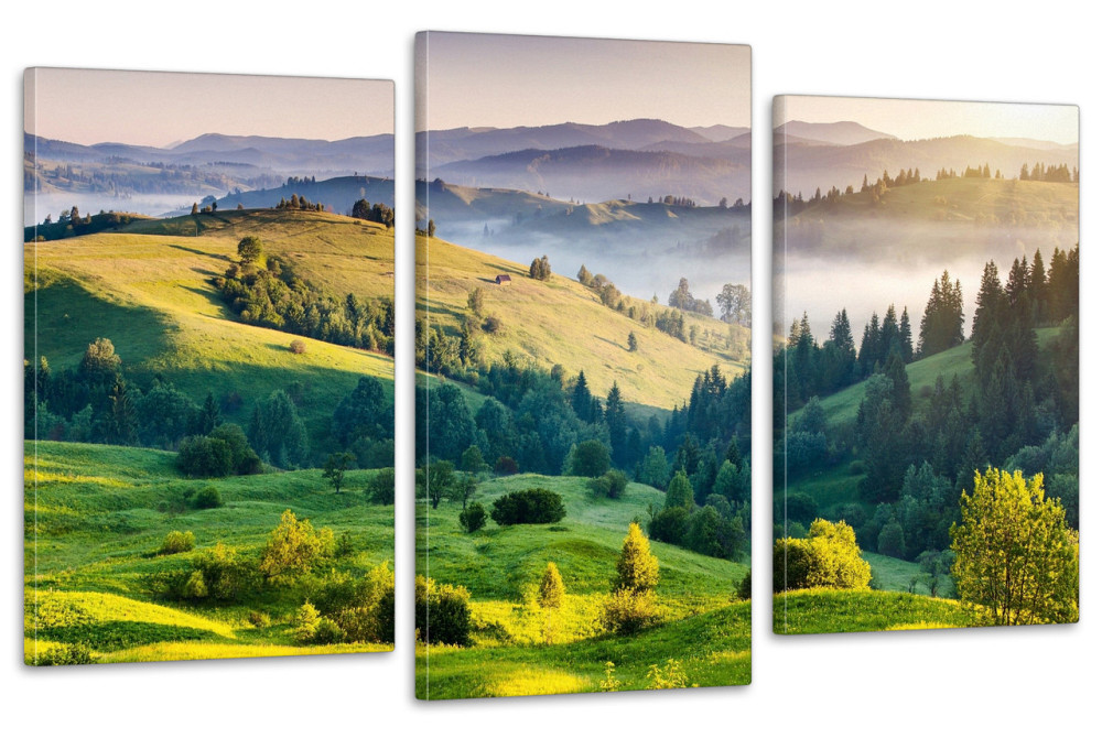 Модульная картина в гостиную / спальню Краєвид гір Art-668_3 Киев - изображение 1
