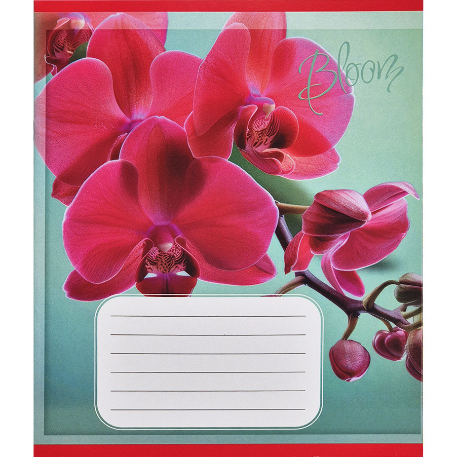 Тетрадь ученическая 