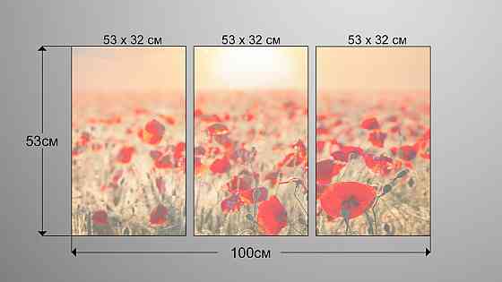 Модульна картина Природа Маки Art-64_3А Київ