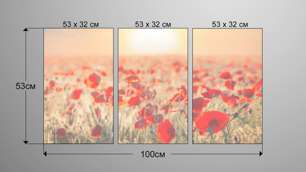 Модульна картина Природа Маки Art-64_3А Київ - фото 3