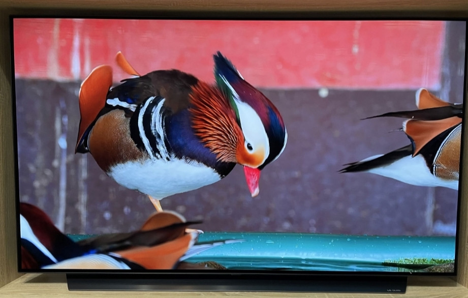 Телевизор: LG QLED 55