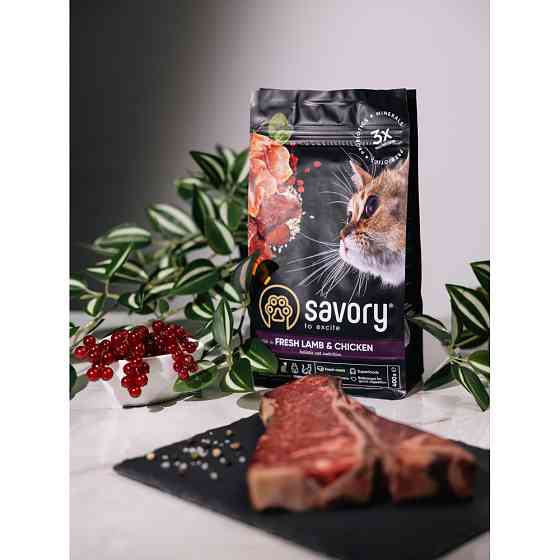 Сухой корм Savory для стерилизованных кошек, со свежим ягненком и курицей, 400 г Винница