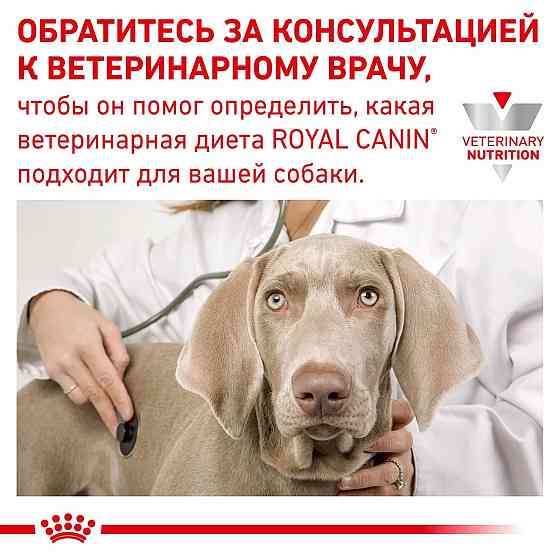 Royal Canin Sensitivity Control Duck Rice (Роял Канін Сенсивіті Контрол) вологий корм для собак у разі алергії Запоріжжя