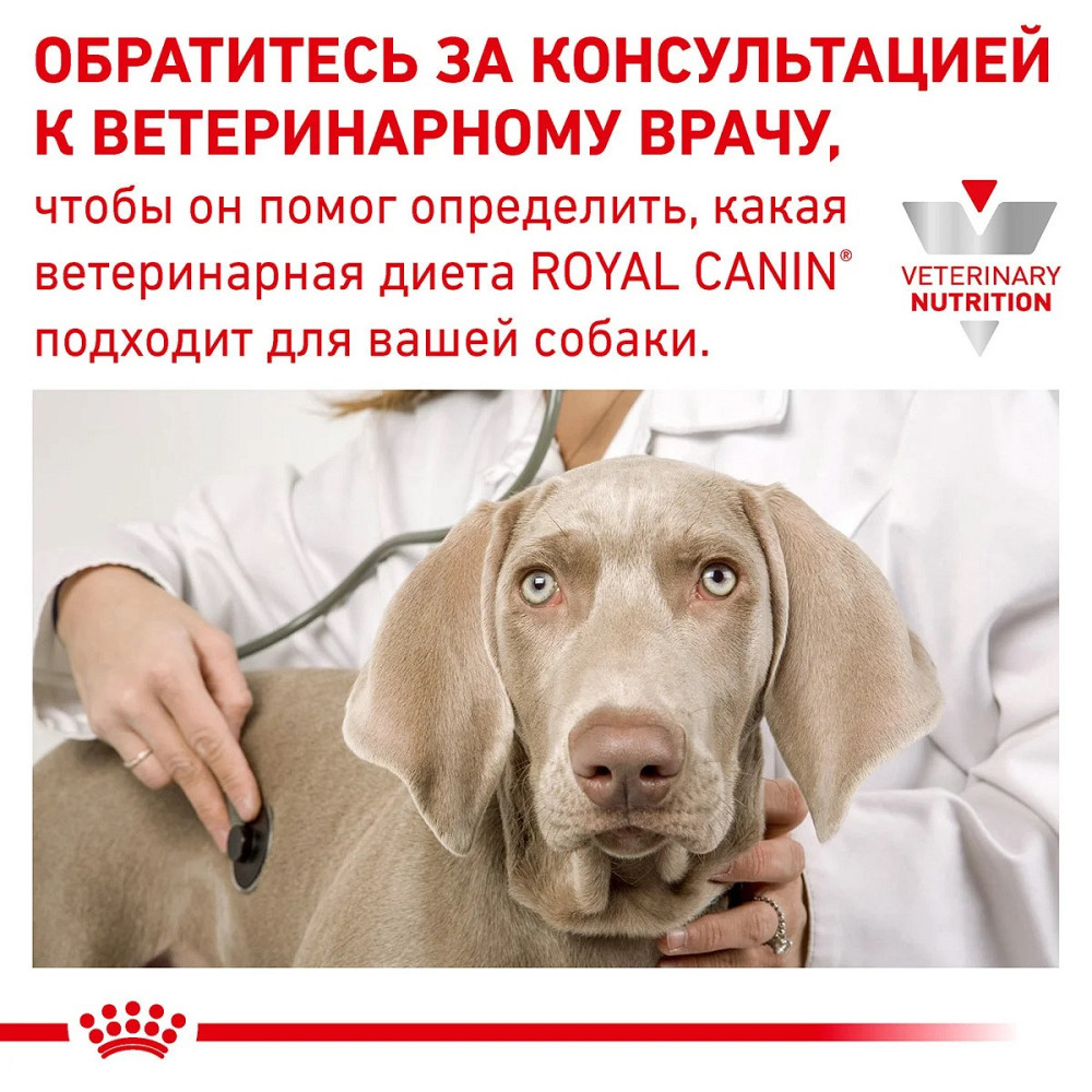 Royal Canin Sensitivity Control Duck Rice (Роял Канін Сенсивіті Контрол) вологий корм для собак у разі алергії Запоріжжя - фото 6