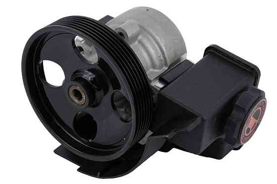Насос ГПК (125mm) Raiso (Швеція) Citroen Berlingo, Сітроен Берлінго 99- #RG0112 UATWPYJ22 Ковель