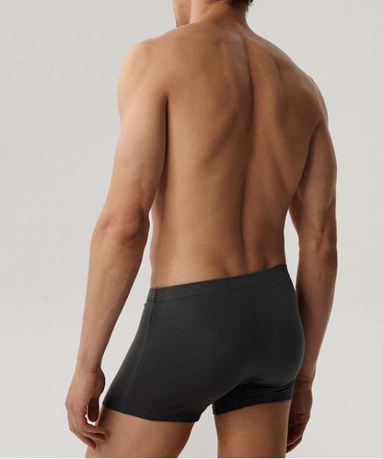 Труси чоловічі шорти графіт Basic Atlantic 3BMH-007 L Київ - фото 4