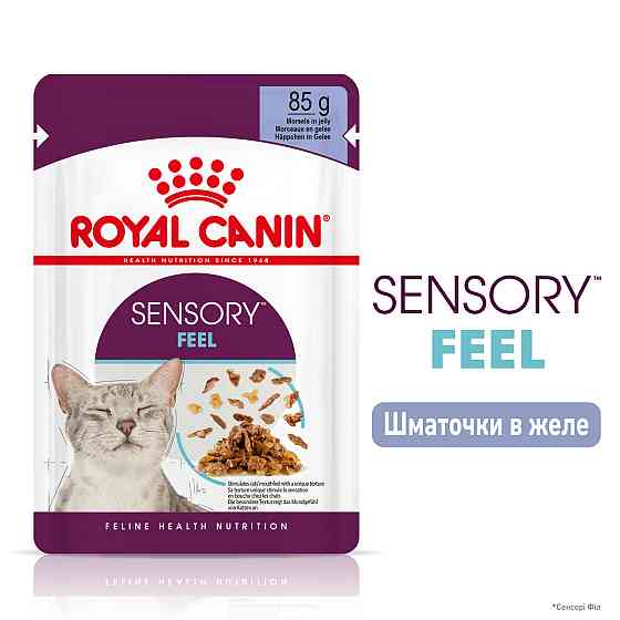 Вологий корм для дорослих котів ROYAL CANIN SENSORY FEEL JELLY шматочки у желе 85г, стимулює відчуття корму Київ