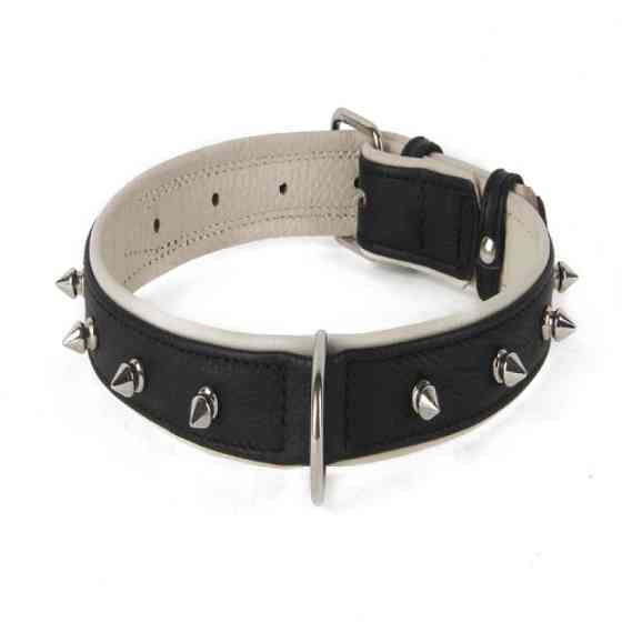 Нашийник 5327 35мм "Преміум" шкіряний подвійною з шипами Вінниця