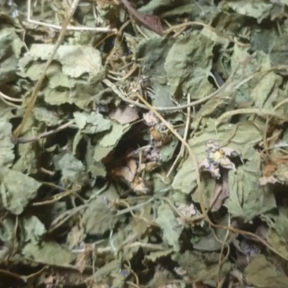 Фиалка душистая (Фіалка духмяна) 100г master sem Киев - изображение 2