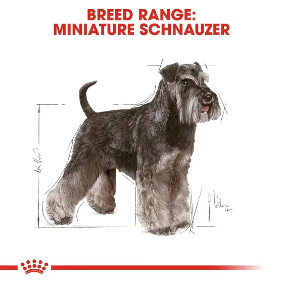 Royal Canin Miniature Schnauzer Adult (Роял Канин Миниатюр Шнауцер Эдалт) корм для цвергшнауцеров от 10 мес 7.5 кг. Запорожье