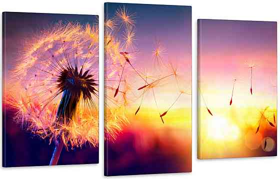 Модульна картина у вітальню/ спальню Кульбаба   Art-573_3 100x150 см Київ