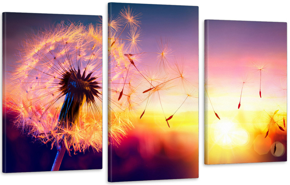 Модульна картина у вітальню/ спальню Кульбаба   Art-573_3 100x150 см Київ - фото 1