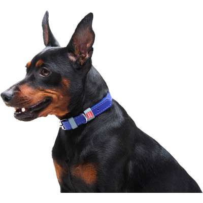 Ошейник для животных WAUDOG Classic кожаный 12 мм х 21-29 см фиолетовый (02029) Винница - изображение 6