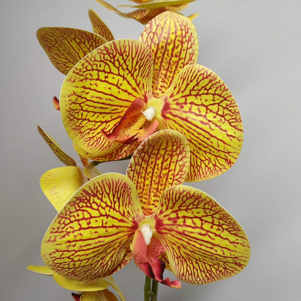 Штучна латексна орхідея VIP у червоному керамічному кашпо на одну гілку жовто-червона Дніпро - фото 3