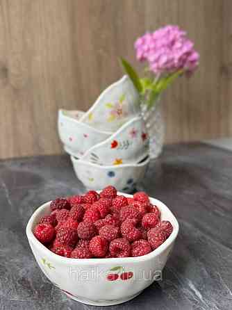 Салатник піала Olens "Вишні" 300 мл кераміка 8030-430 Київ