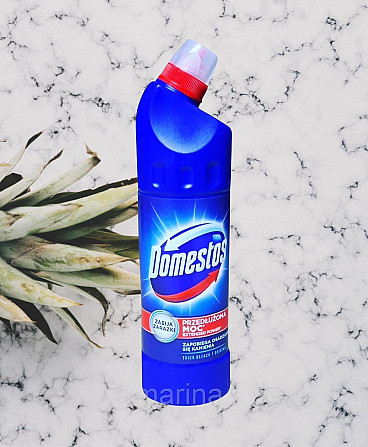 Жидкость для дезинфекции Domestos Forest 750мл Виноградов - изображение 2