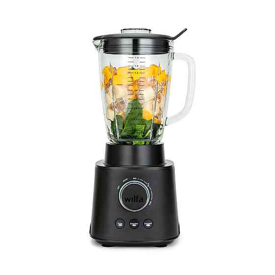 Блендер Wilfa Essential 1800 Auto RBLP-1800B ( 27883 ) Харків