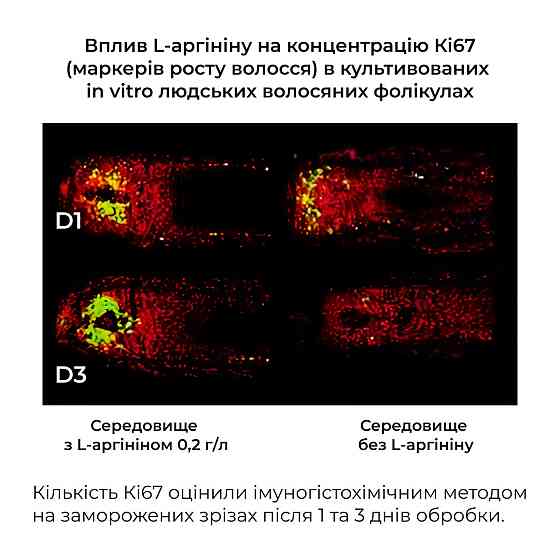 Комплекс Serenoa & РР Hair Loss Control + Натуральная маска Bamboo Киев