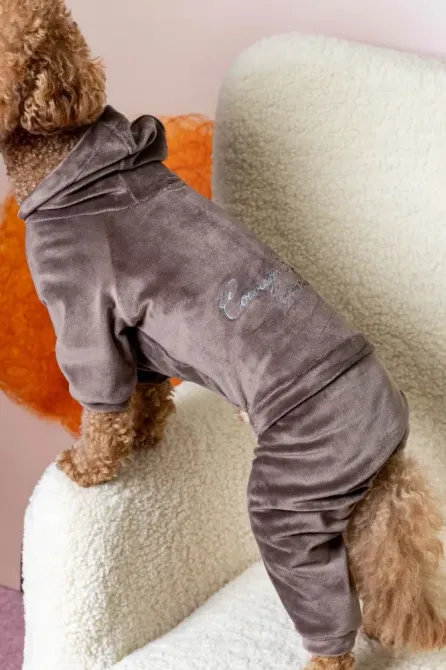 Костюм для собак велюровий Dogs Bomba з капюшоном трикотаж весна-осінь для середніх порід Кураж Тауп 9 Одеса - фото 1