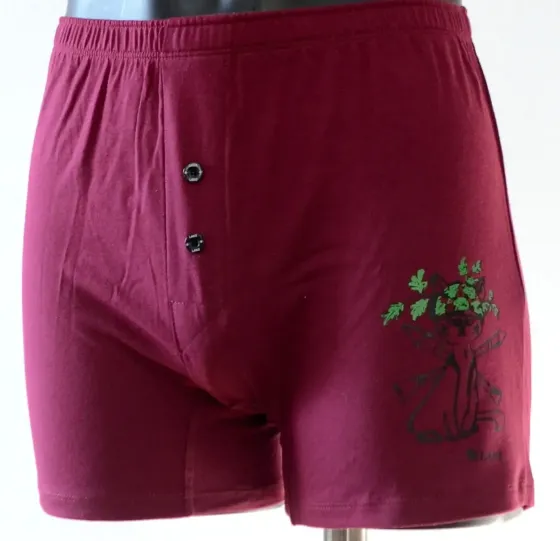 Чоловічі труси сімейні з бавовни Lans 01/021 XXL, Червоний Киев