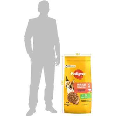 Сухий корм для собак Pedigree для малих порід з яловичиною та овочами 12 кг (5998749120910) Вінниця