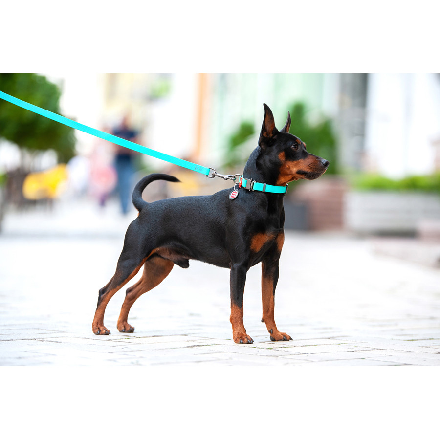 Нашийник для собак водостійкий WAUDOG Waterproof c QR паспортом, світонакоплювальний, металічна Коломыя - изображение 4