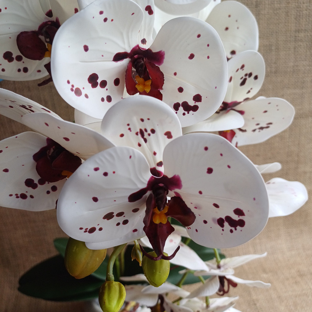 Штучна латексна орхідея VIP у пудровому керамічному кашпо на дві гілки біла в крапку Дніпро - фото 3