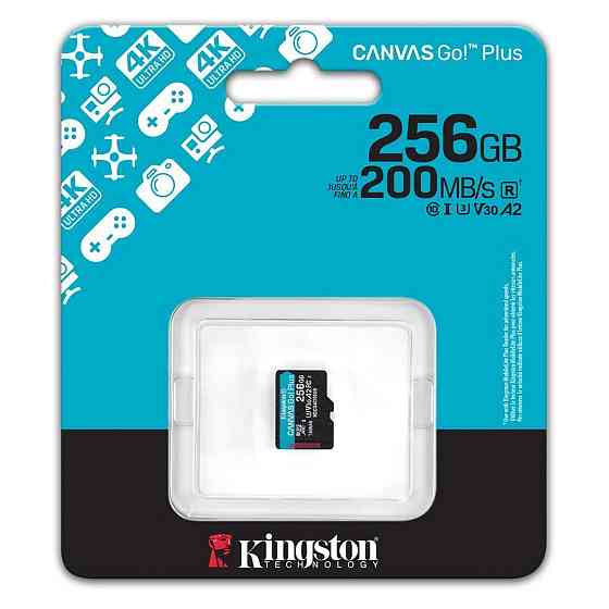 Картка пам'яті MicroSDXC 256 GB UHS-I/U3 Class 10 Kingston Canvas Go! Plus R200/W160MB/s (SDCG4/256GBSP) Харків