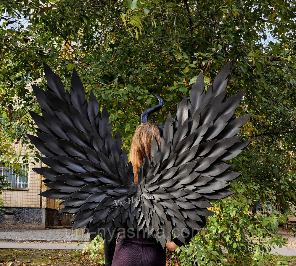 Червоні Крила великі Кривий Ріг - фото 3