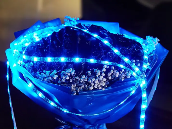 Светодиодная лента Hoco DL30 RGB 4м + пульт (Черная) Винница