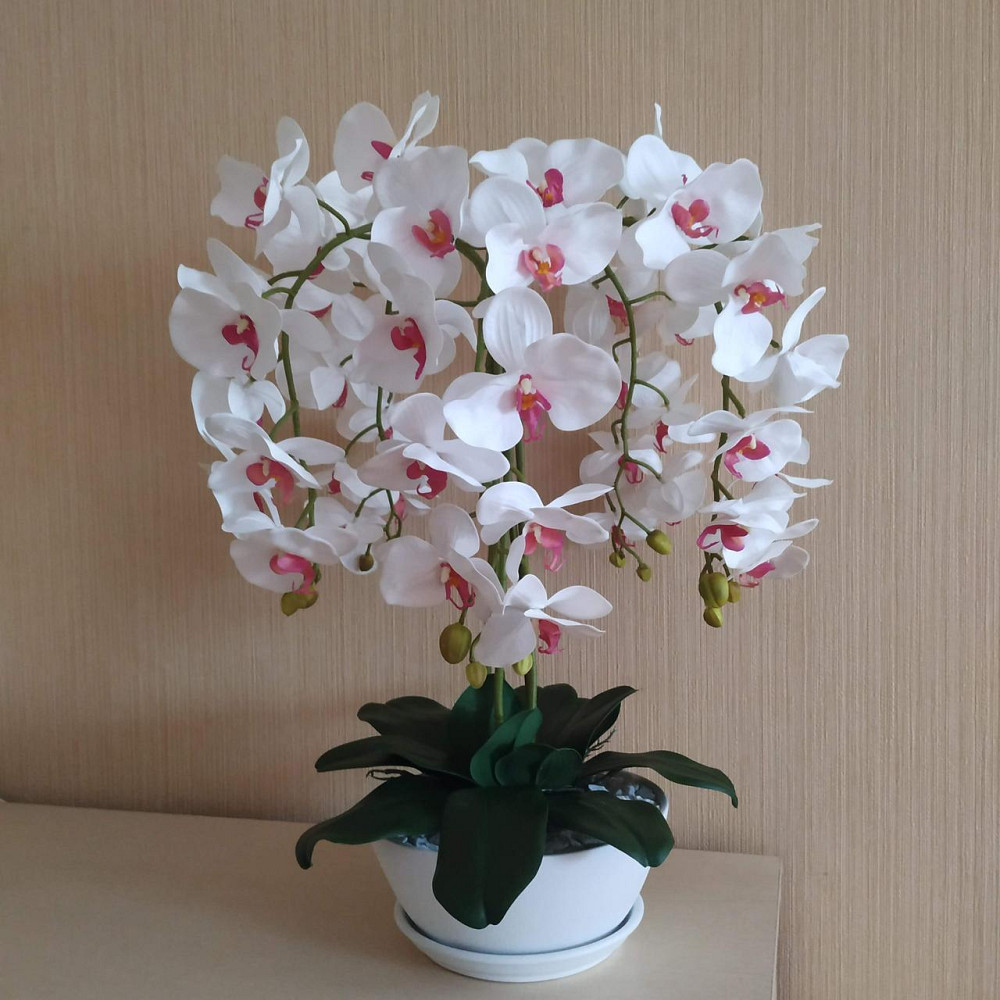 Штучна латексна орхідея преміум в білому керамічному кашпо на п'ять гілок біло-малинова Дніпро - фото 2