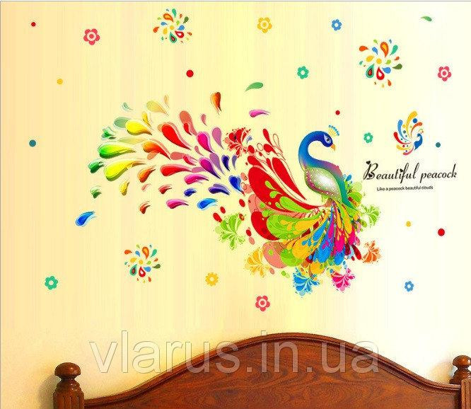 Інтер'єрна наклейка кольорова Павич Київ - фото 3