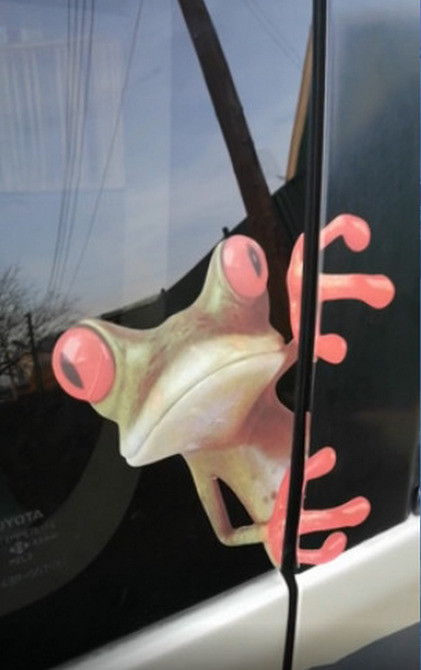 Наклейка на авто Жаба Київ - фото 2