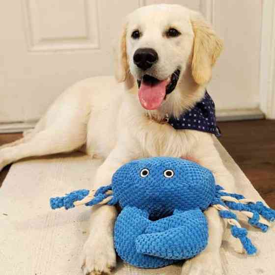 Іграшка для собак Patchwork Pet Crab (Печворк Пет Краб) 200 Запоріжжя