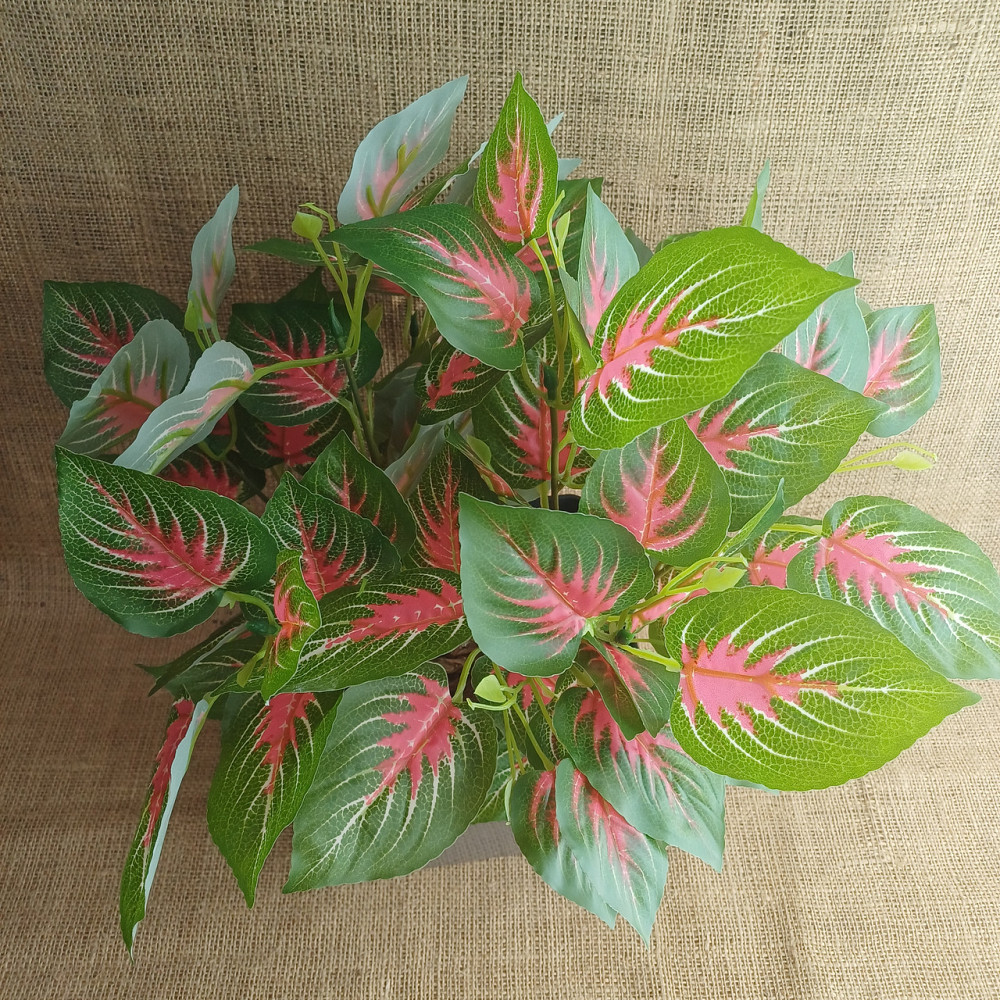 Штучний кущ аглономи із латексу Дніпро - фото 2