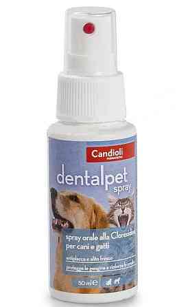 Спрей Candioli DentalPet Spray для ухода за ротовой полостью собак и кошек 50 мл Винница