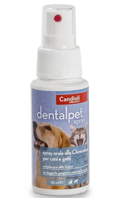 Спрей Candioli DentalPet Spray для ухода за ротовой полостью собак и кошек 50 мл Винница - изображение 1