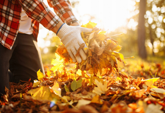 Тележка садовая 75л 300кг Maltec (Польша) Киев