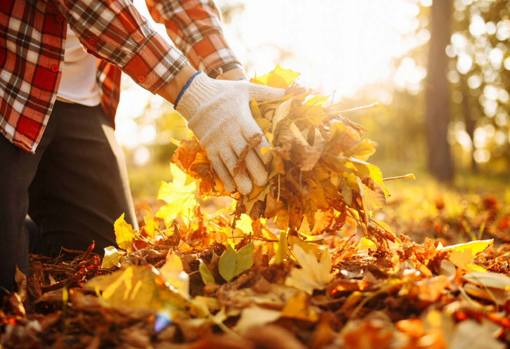 Тележка садовая 75л 300кг Maltec (Польша) Киев - изображение 5